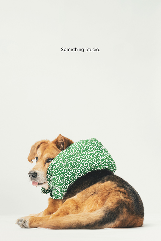SOMETHINGSTUDIO,三牲工作室,中途攝影,寵物寫真,寵物攝影,寵物肖像,毛孩,毛孩寫真,汪星人,領養不棄養,領養代替購買,SOMETHING,三牲
