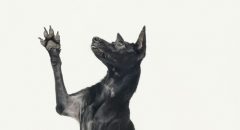 SOMETHINGSTUDIO,三牲工作室,三牲,中途攝影,寵物寫真,寵物攝影,寵物肖像,毛孩,毛孩寫真,汪星人,領養不棄養,領養代替購買