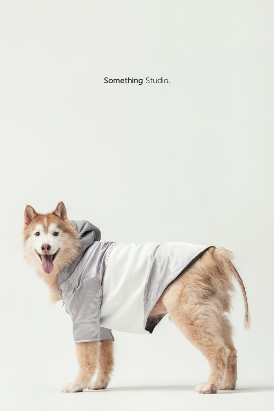 SOMETHINGSTUDIO,三牲工作室,三牲,中途攝影,寵物寫真,寵物攝影,寵物肖像,毛孩,毛孩寫真,汪星人,領養不棄養,領養代替購買,瑞芳收容所,SPCA
