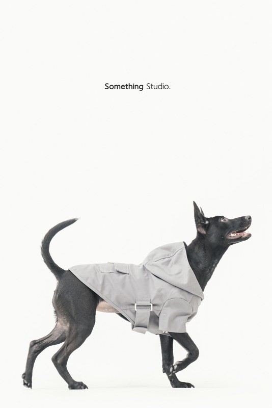 SOMETHINGSTUDIO,三牲工作室,三牲,中途攝影,寵物寫真,寵物攝影,寵物肖像,毛孩,毛孩寫真,汪星人,領養不棄養,領養代替購買