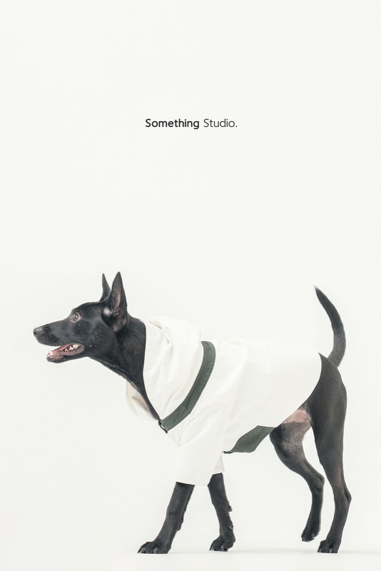 SOMETHINGSTUDIO,三牲工作室,三牲,中途攝影,寵物寫真,寵物攝影,寵物肖像,毛孩,毛孩寫真,汪星人,領養不棄養,領養代替購買