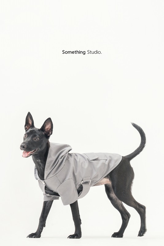 SOMETHINGSTUDIO,三牲工作室,三牲,中途攝影,寵物寫真,寵物攝影,寵物肖像,毛孩,毛孩寫真,汪星人,領養不棄養,領養代替購買