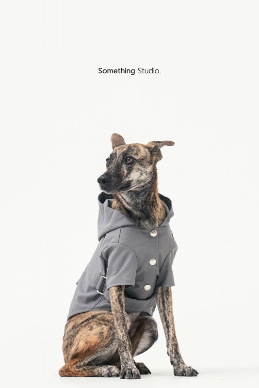 SOMETHINGSTUDIO,三牲工作室,三牲,中途攝影,寵物寫真,寵物攝影,寵物肖像,毛孩,毛孩寫真,汪星人,領養不棄養,領養代替購買