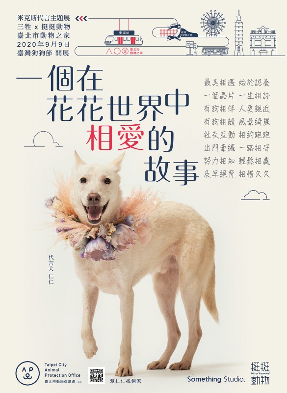 SOMETHINGSTUDIO,三牲工作室,三牲,中途攝影,寵物寫真,寵物攝影,寵物肖像,寵物商業攝影,寵物用品毛孩,毛孩寫真,汪星人,領養不棄養,領養代替購買