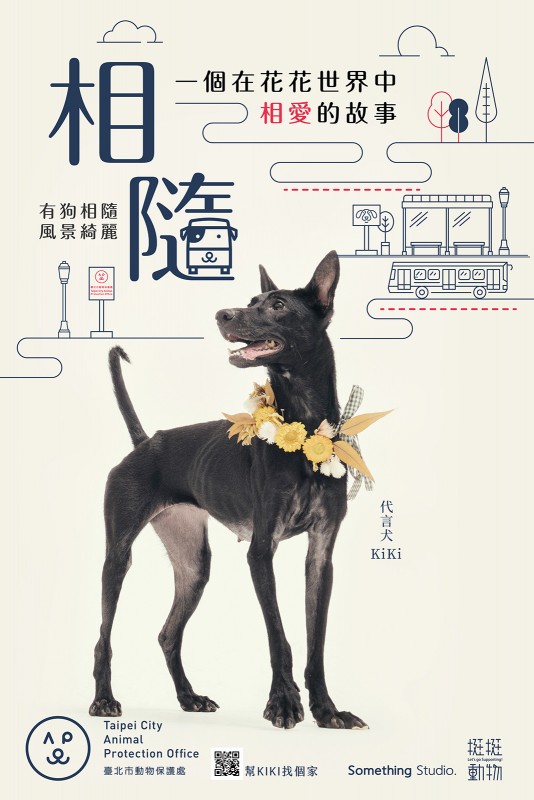 SOMETHINGSTUDIO,三牲工作室,三牲,中途攝影,寵物寫真,寵物攝影,寵物肖像,寵物商業攝影,寵物用品毛孩,毛孩寫真,汪星人,領養不棄養,領養代替購買