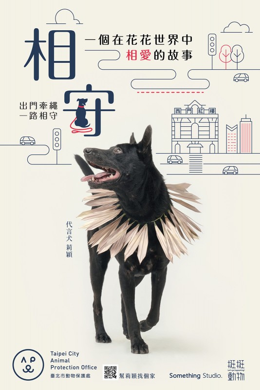 SOMETHINGSTUDIO,三牲工作室,三牲,中途攝影,寵物寫真,寵物攝影,寵物肖像,寵物商業攝影,寵物用品毛孩,毛孩寫真,汪星人,領養不棄養,領養代替購買