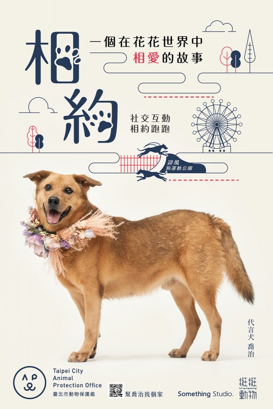 SOMETHINGSTUDIO,三牲工作室,三牲,中途攝影,寵物寫真,寵物攝影,寵物肖像,寵物商業攝影,寵物用品毛孩,毛孩寫真,汪星人,領養不棄養,領養代替購買