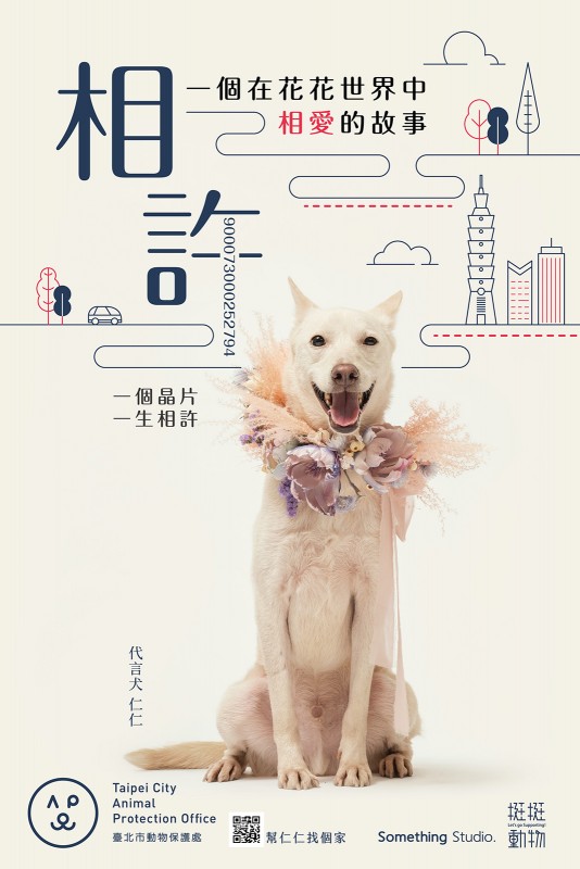 SOMETHINGSTUDIO,三牲工作室,三牲,中途攝影,寵物寫真,寵物攝影,寵物肖像,寵物商業攝影,寵物用品毛孩,毛孩寫真,汪星人,領養不棄養,領養代替購買