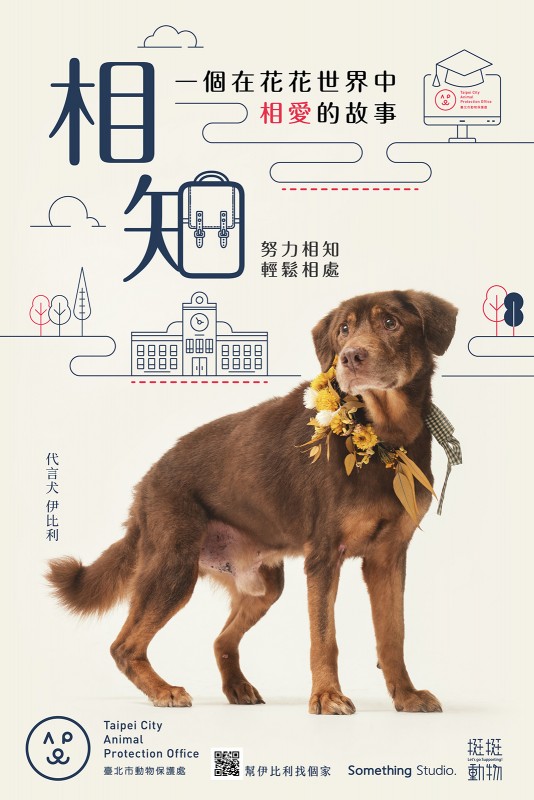 SOMETHINGSTUDIO,三牲工作室,三牲,中途攝影,寵物寫真,寵物攝影,寵物肖像,寵物商業攝影,寵物用品毛孩,毛孩寫真,汪星人,領養不棄養,領養代替購買