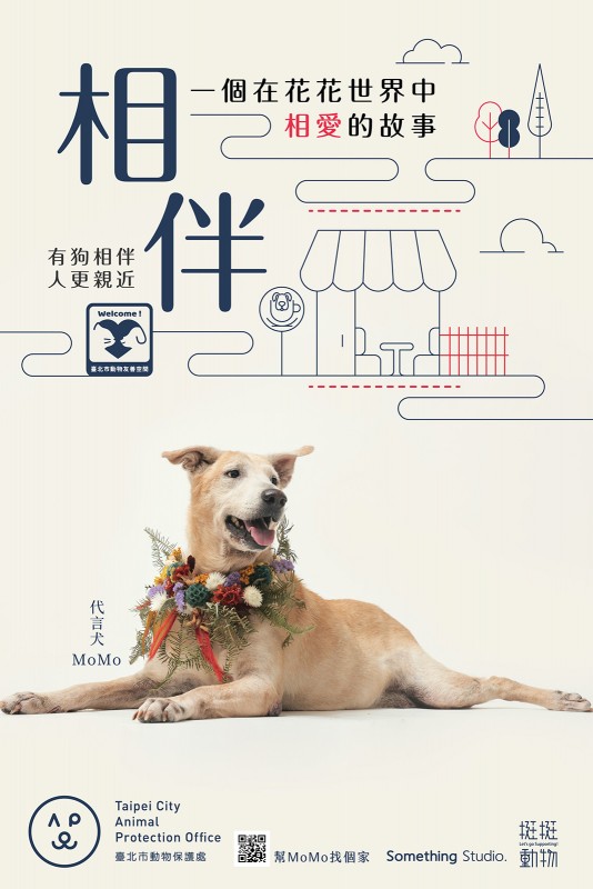 SOMETHINGSTUDIO,三牲工作室,三牲,中途攝影,寵物寫真,寵物攝影,寵物肖像,寵物商業攝影,寵物用品毛孩,毛孩寫真,汪星人,領養不棄養,領養代替購買