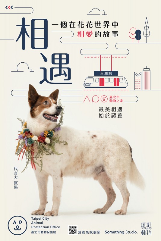 SOMETHINGSTUDIO,三牲工作室,三牲,中途攝影,寵物寫真,寵物攝影,寵物肖像,寵物商業攝影,寵物用品毛孩,毛孩寫真,汪星人,領養不棄養,領養代替購買