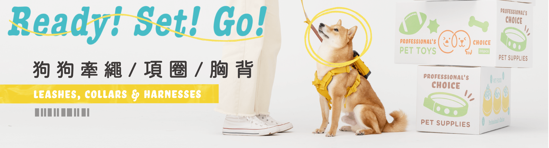 SOMETHINGSTUDIO,三牲工作室,三牲,中途攝影,寵物寫真,寵物攝影,寵物肖像,寵物商業攝影,寵物用品毛孩,毛孩寫真,汪星人,領養不棄養,領養代替購買
