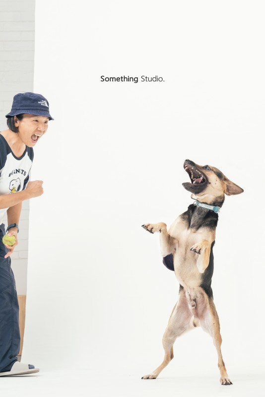 SOMETHINGSTUDIO,三牲工作室,三牲,中途攝影,寵物寫真,寵物攝影,寵物肖像,毛孩,毛孩寫真,汪星人,領養不棄養,領養代替購買,