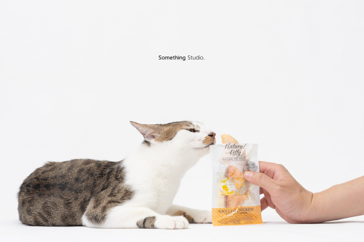 SOMETHINGSTUDIO,三牲工作室,三牲,中途攝影,寵物寫真,寵物攝影,寵物肖像,毛孩,毛孩寫真,汪星人,喵星人,兔星人,狗,米克斯,領養不棄養,領養代替購買