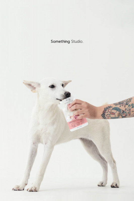 SOMETHINGSTUDIO,三牲工作室,三牲,中途攝影,寵物寫真,寵物攝影,寵物肖像,毛孩,毛孩寫真,汪星人,喵星人,兔星人,狗,米克斯,領養不棄養,領養代替購買