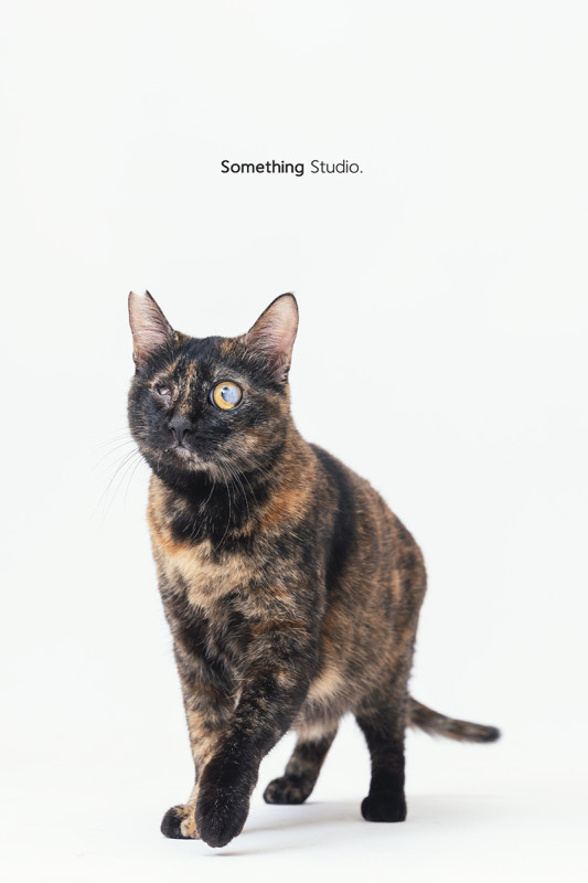 2023032108254666