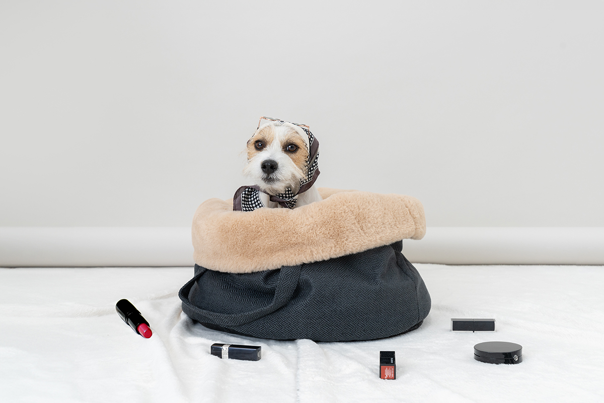 tails&me,尾巴與我,兩用懶骨頭寵物床,寵物床,狗狗床,貓,狗,商業攝影,三牲攝影工作室,形象照