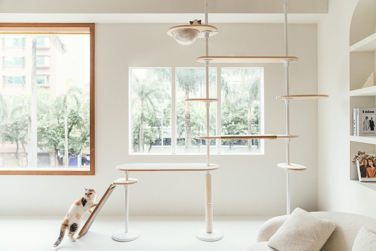 拍拍貓跳台,拍拍貓選品,貓跳台,寵物用品,cat tree, cat,貓咪,家用貓跳台,商業空間貓跳台,三牲工作室,商業攝影,三牲商業攝影,貓商業攝影