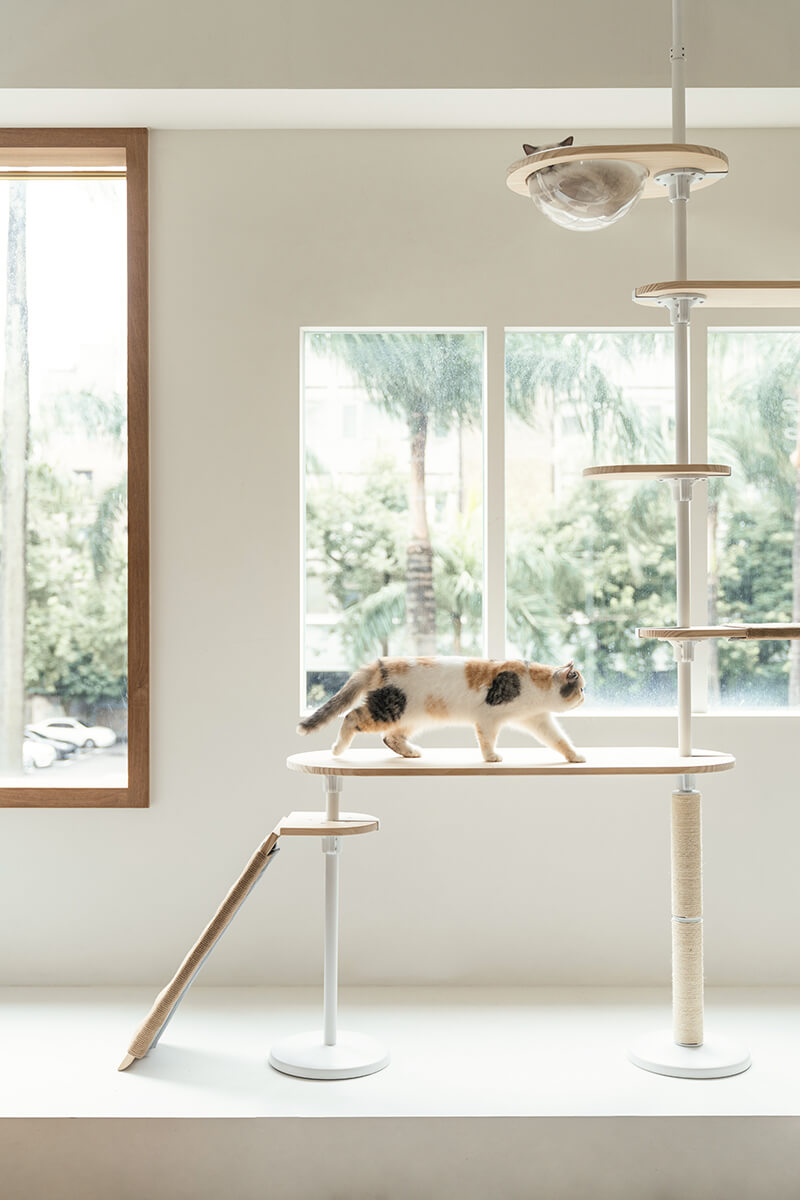 拍拍貓跳台,拍拍貓選品,貓跳台,寵物用品,cat tree, cat,貓咪,家用貓跳台,商業空間貓跳台,三牲工作室,商業攝影,三牲商業攝影,貓商業攝影