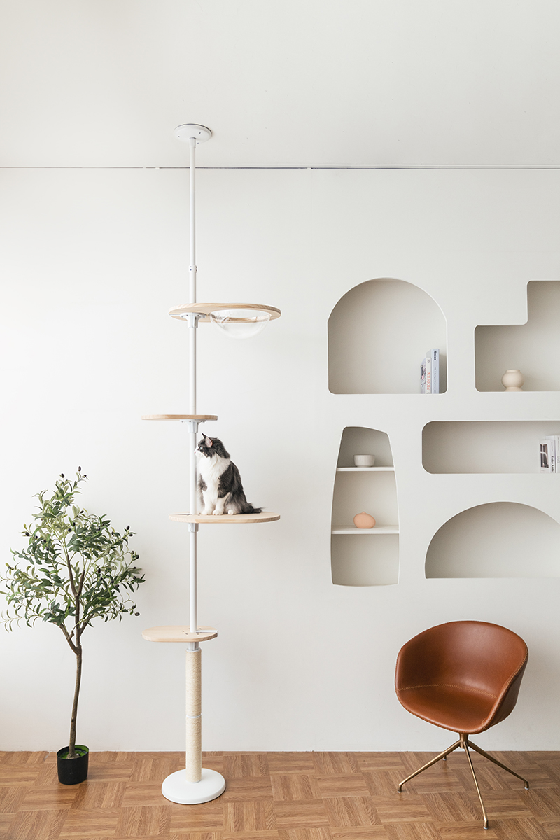 拍拍貓跳台,拍拍貓選品,貓跳台,寵物用品,cat tree, cat,貓咪,家用貓跳台,商業空間貓跳台,三牲工作室,商業攝影,三牲商業攝影,貓商業攝影