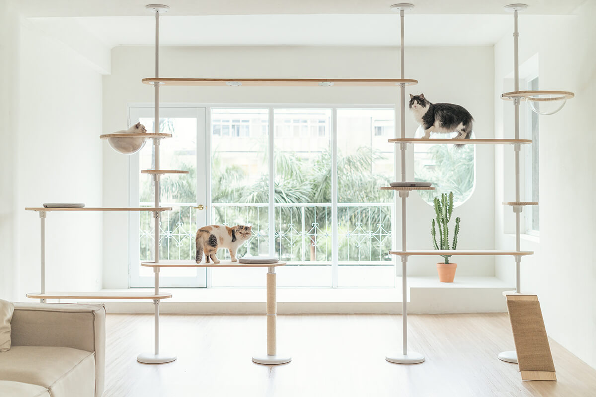 拍拍貓跳台,拍拍貓選品,貓跳台,寵物用品,cat tree, cat,貓咪,家用貓跳台,商業空間貓跳台,三牲工作室,商業攝影,三牲商業攝影,貓商業攝影