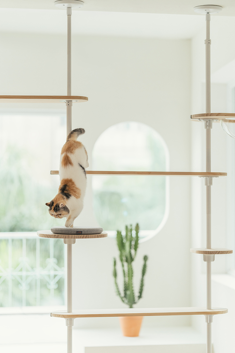拍拍貓跳台,拍拍貓選品,貓跳台,寵物用品,cat tree, cat,貓咪,家用貓跳台,商業空間貓跳台,三牲工作室,商業攝影,三牲商業攝影,貓商業攝影