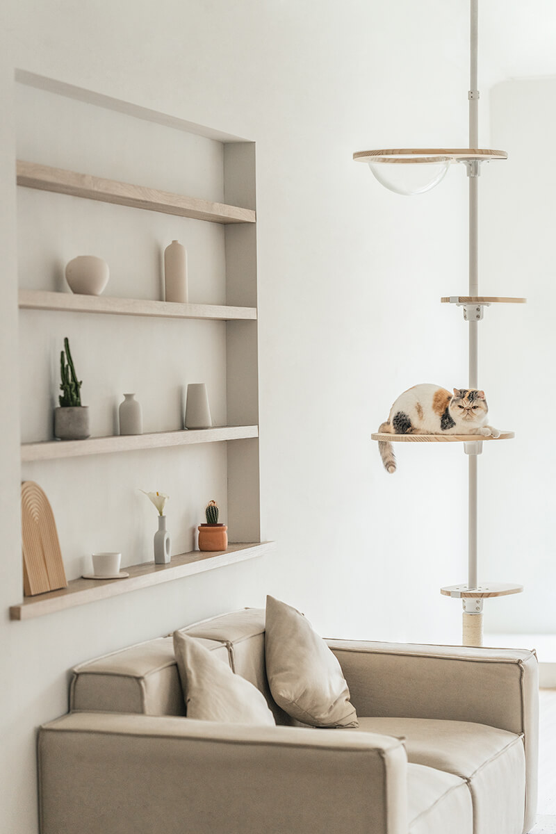 拍拍貓跳台,拍拍貓選品,貓跳台,寵物用品,cat tree, cat,貓咪,家用貓跳台,商業空間貓跳台,三牲工作室,商業攝影,三牲商業攝影,貓商業攝影
