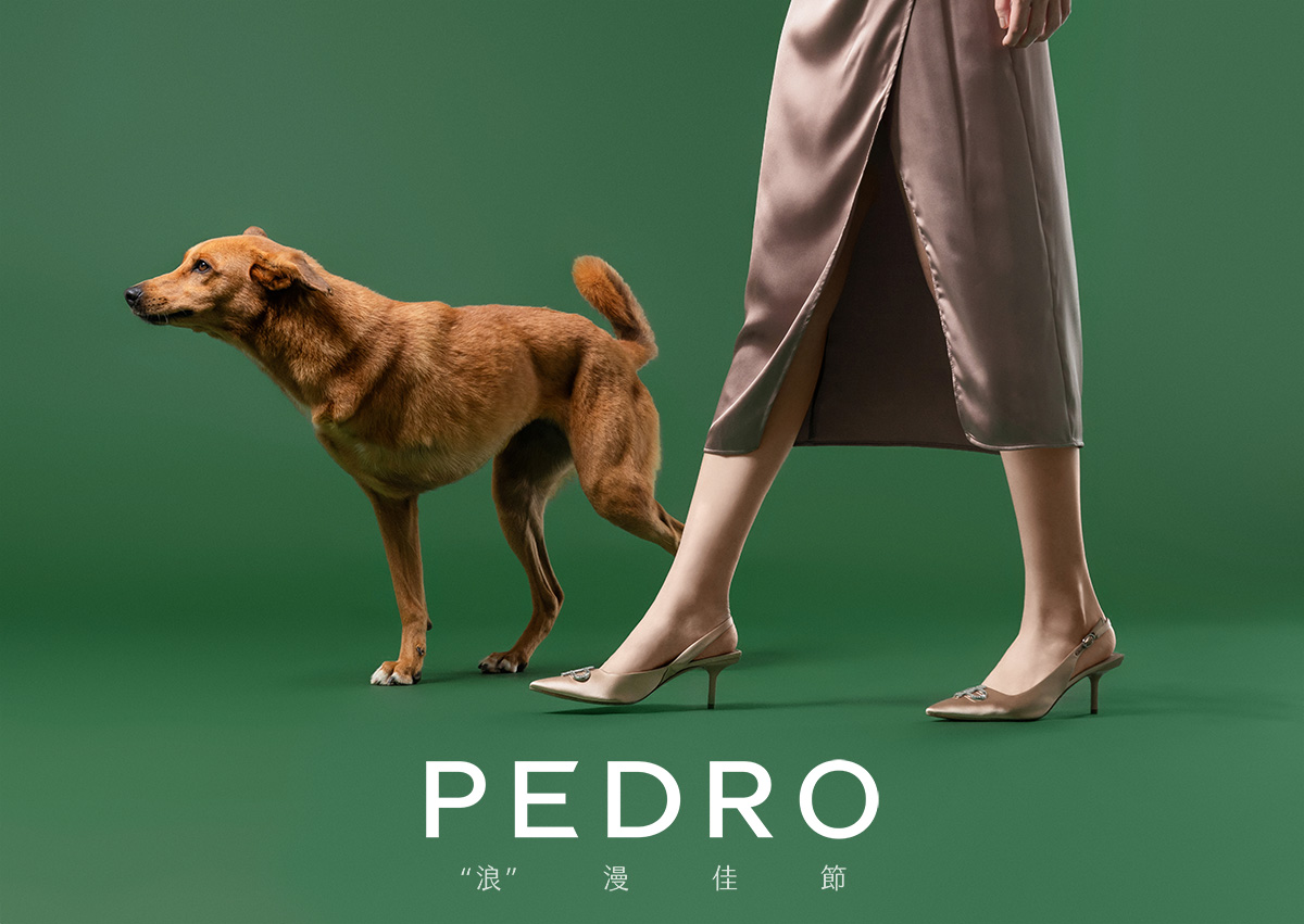 Pedro,時尚休閒單品,商業攝影,Pedro商品照,形象照,something studio,三牲工作室,寵物商業寫真,形象寫真