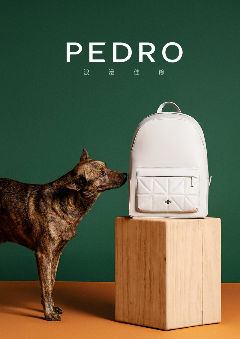 Pedro,時尚休閒單品,商業攝影,Pedro商品照,形象照,something studio,三牲工作室,寵物商業寫真,形象寫真
