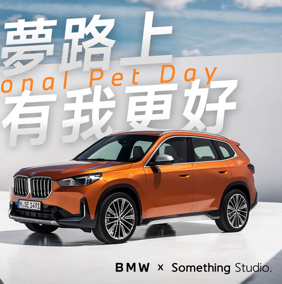 BMWX1,BMW休旅車,BMW商業攝影,somethingstudio,三牲工作室,寵物攝影,商業攝影,貓狗商設