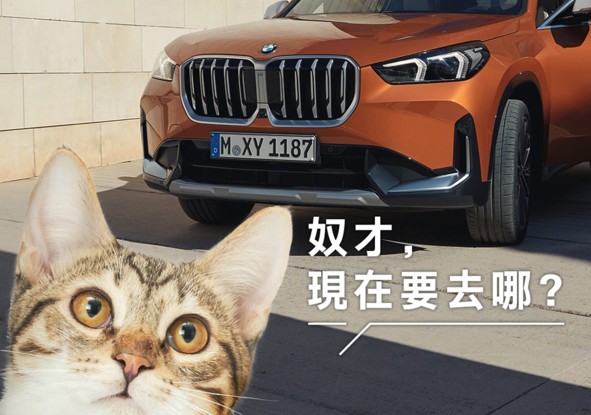 BMWX1,BMW休旅車,BMW商業攝影,somethingstudio,三牲工作室,寵物攝影,商業攝影,貓狗商設