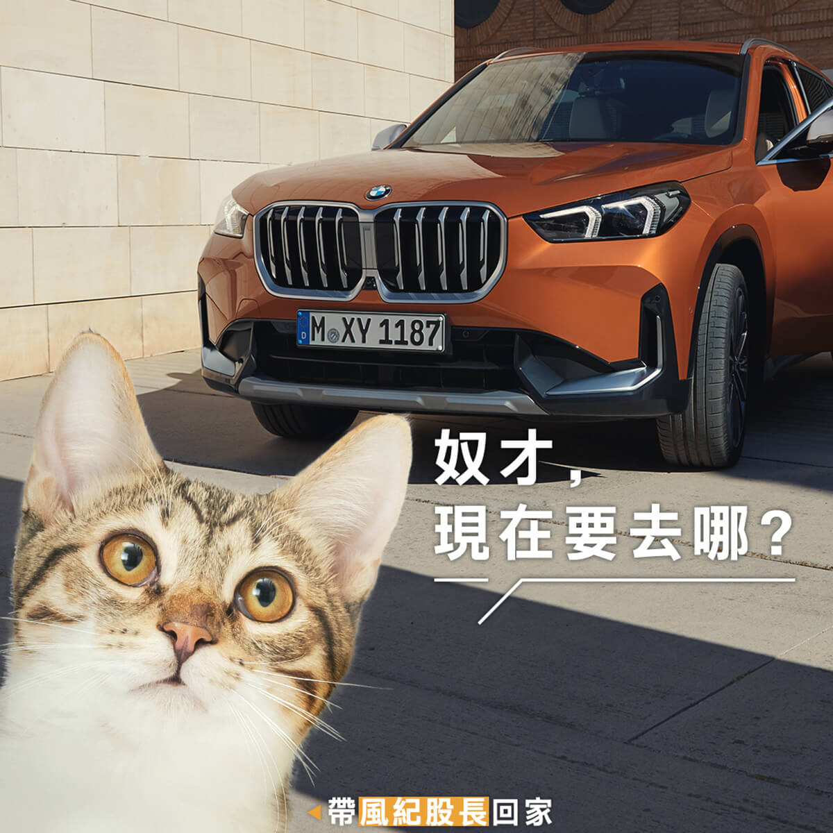 BMWX1,BMW休旅車,BMW商業攝影,somethingstudio,三牲工作室,寵物攝影,商業攝影,貓狗商設