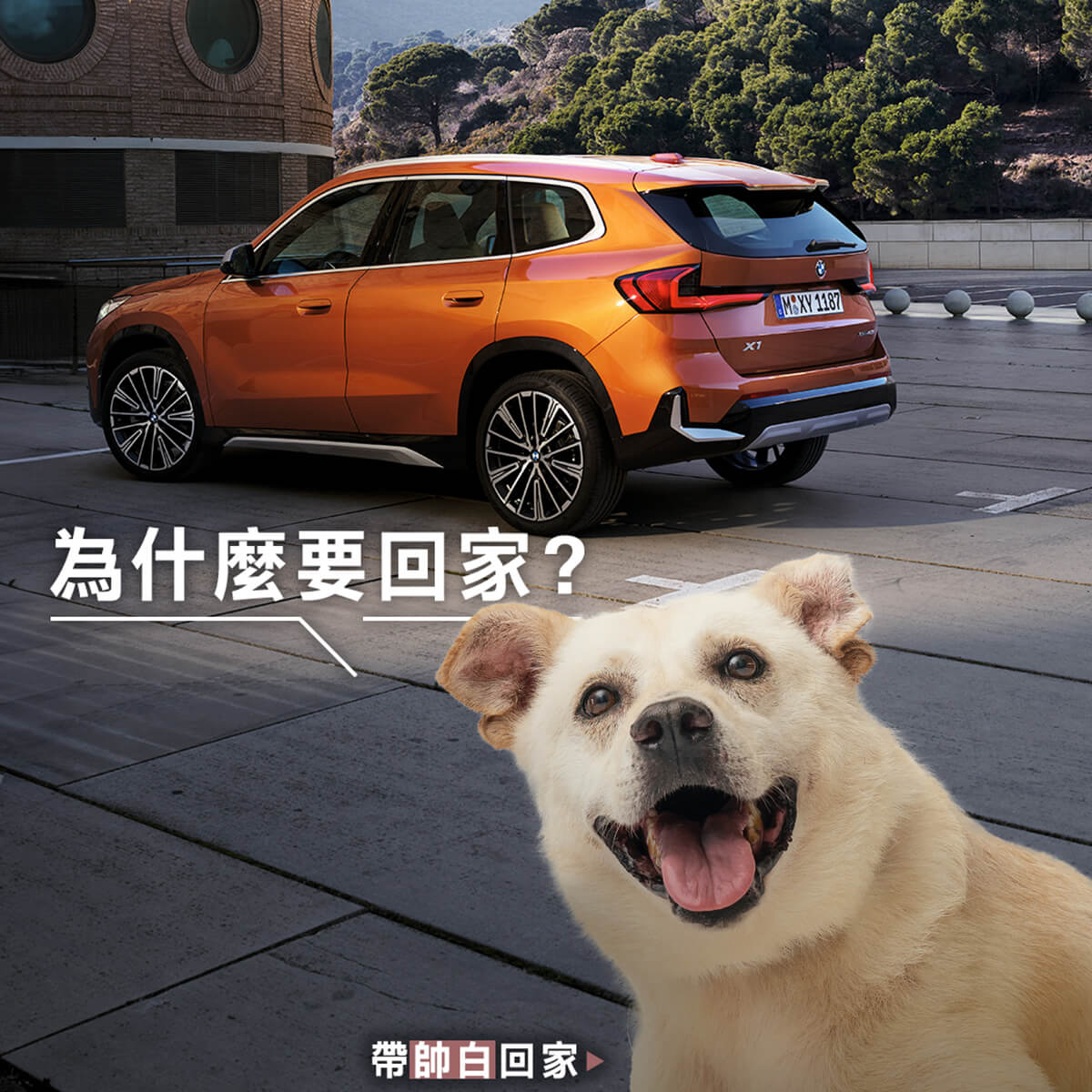 BMWX1,BMW休旅車,BMW商業攝影,somethingstudio,三牲工作室,寵物攝影,商業攝影,貓狗商設