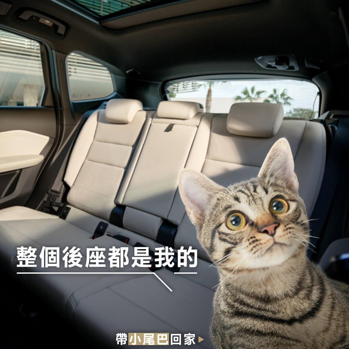 BMWX1,BMW休旅車,BMW商業攝影,somethingstudio,三牲工作室,寵物攝影,商業攝影,貓狗商設