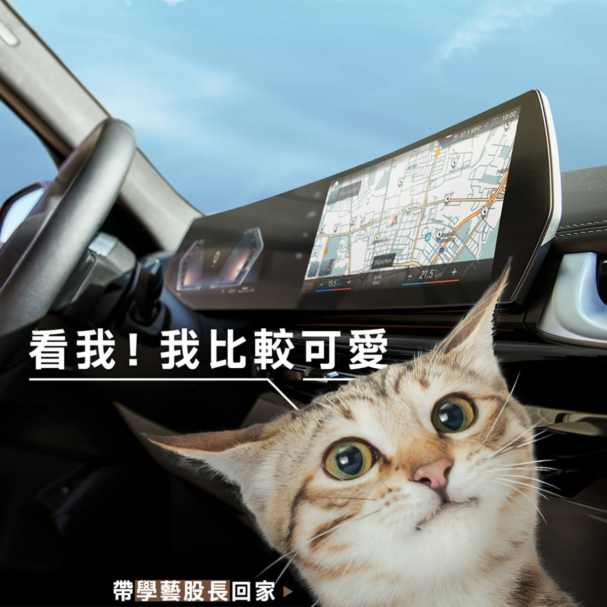 BMWX1,BMW休旅車,BMW商業攝影,somethingstudio,三牲工作室,寵物攝影,商業攝影,貓狗商設