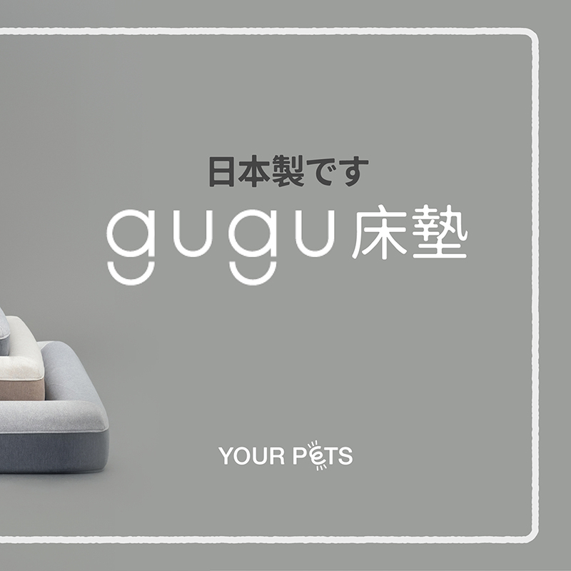 優寵物,商業攝影,Pedro商品照,形象照,something studio,三牲工作室,寵物商業寫真,形象寫真,寵物床