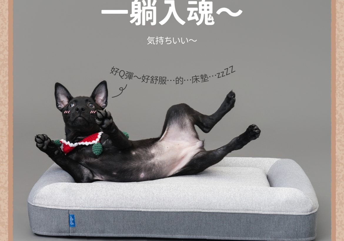 優寵物,商業攝影,Pedro商品照,形象照,something studio,三牲工作室,寵物商業寫真,形象寫真,寵物床