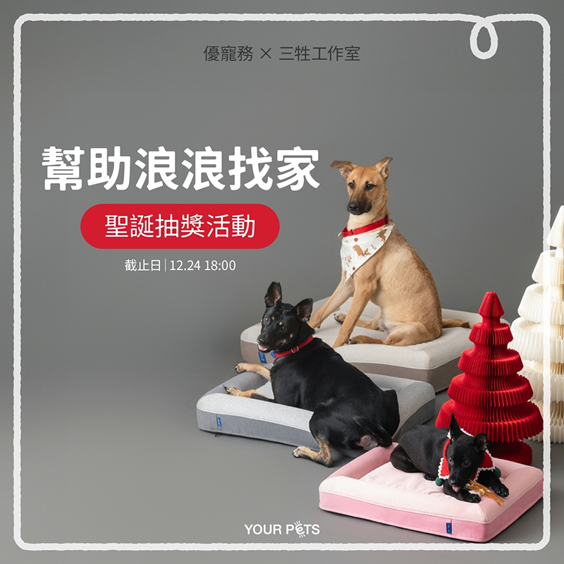 優寵物,商業攝影,Pedro商品照,形象照,something studio,三牲工作室,寵物商業寫真,形象寫真,寵物床