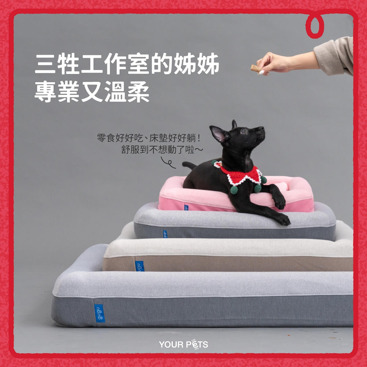 優寵物,商業攝影,Pedro商品照,形象照,something studio,三牲工作室,寵物商業寫真,形象寫真,寵物床