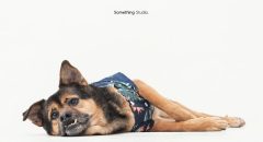 三牲工作室媒體報導,三牲工作室,somethingstudio,展覽報導,三牲媒體報導,攝影展