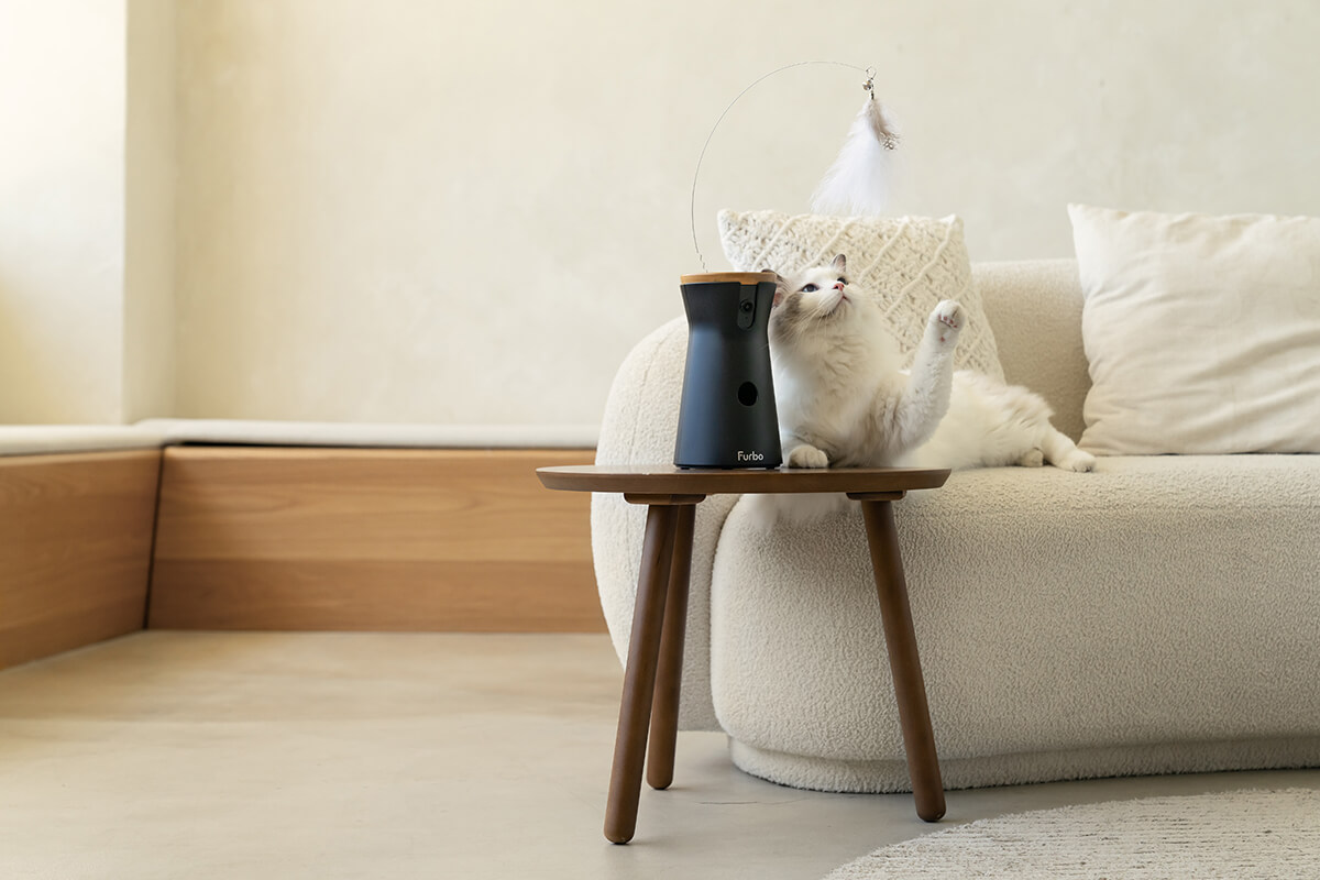 三牲工作室,寵物商業攝影,形象照,somthingstudio,寵物用品,沙發,貓咪,furbo,貓咪攝影機