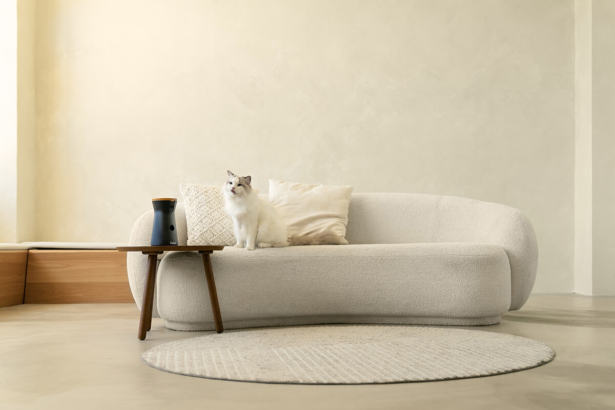 三牲工作室,寵物商業攝影,形象照,somthingstudio,寵物用品,沙發,貓咪,furbo,貓咪攝影機