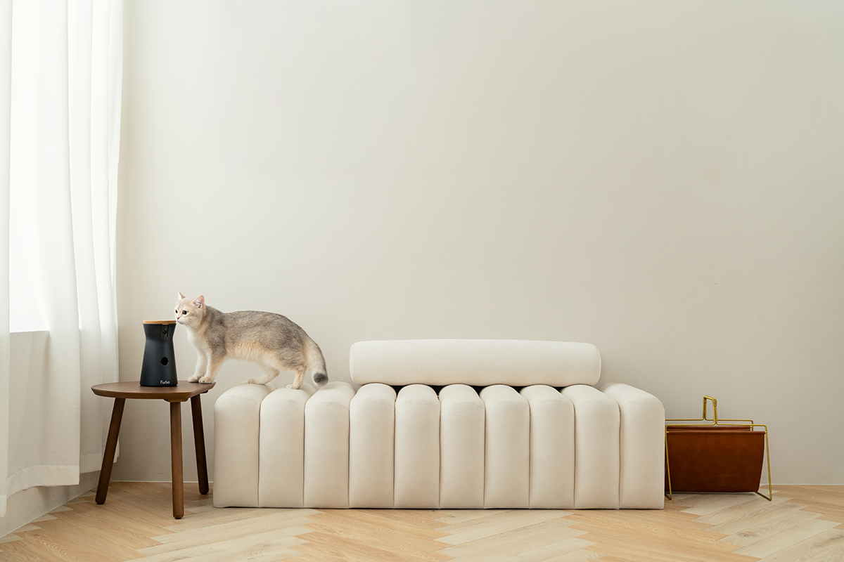 三牲工作室,寵物商業攝影,形象照,somthingstudio,寵物用品,沙發,貓咪,furbo,貓咪攝影機