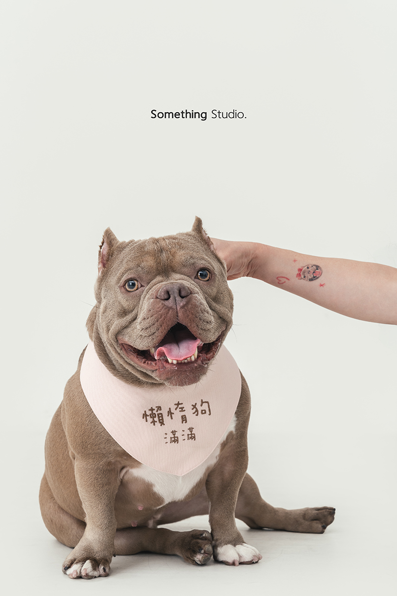 三牲工作室 ,somethingstudio,寵物,寵物攝影,寵物肖像,三牲,something,寵物,寫真,攝影,寫真,攝影工作室,惡霸,狗狗,寵物攝影,小型犬