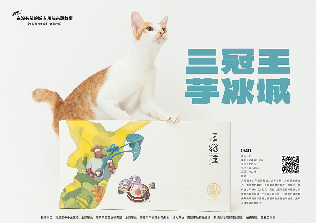貓鮮食,貓零食,寵物鮮食,甲仙料理,商業攝影,形象照,三牲工作室,三牲商業攝影,somethimgstudio
