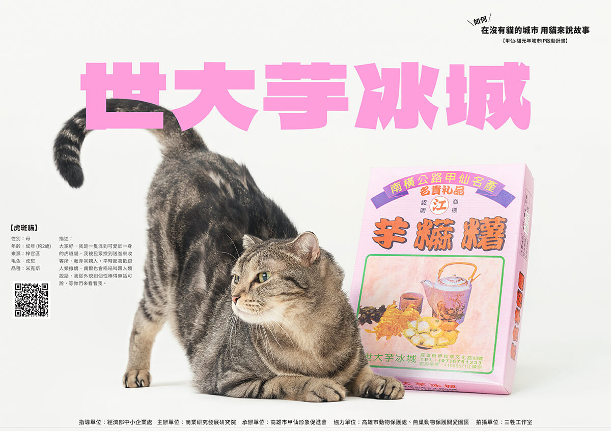 貓鮮食,貓零食,寵物鮮食,甲仙料理,商業攝影,形象照,三牲工作室,三牲商業攝影,somethimgstudio