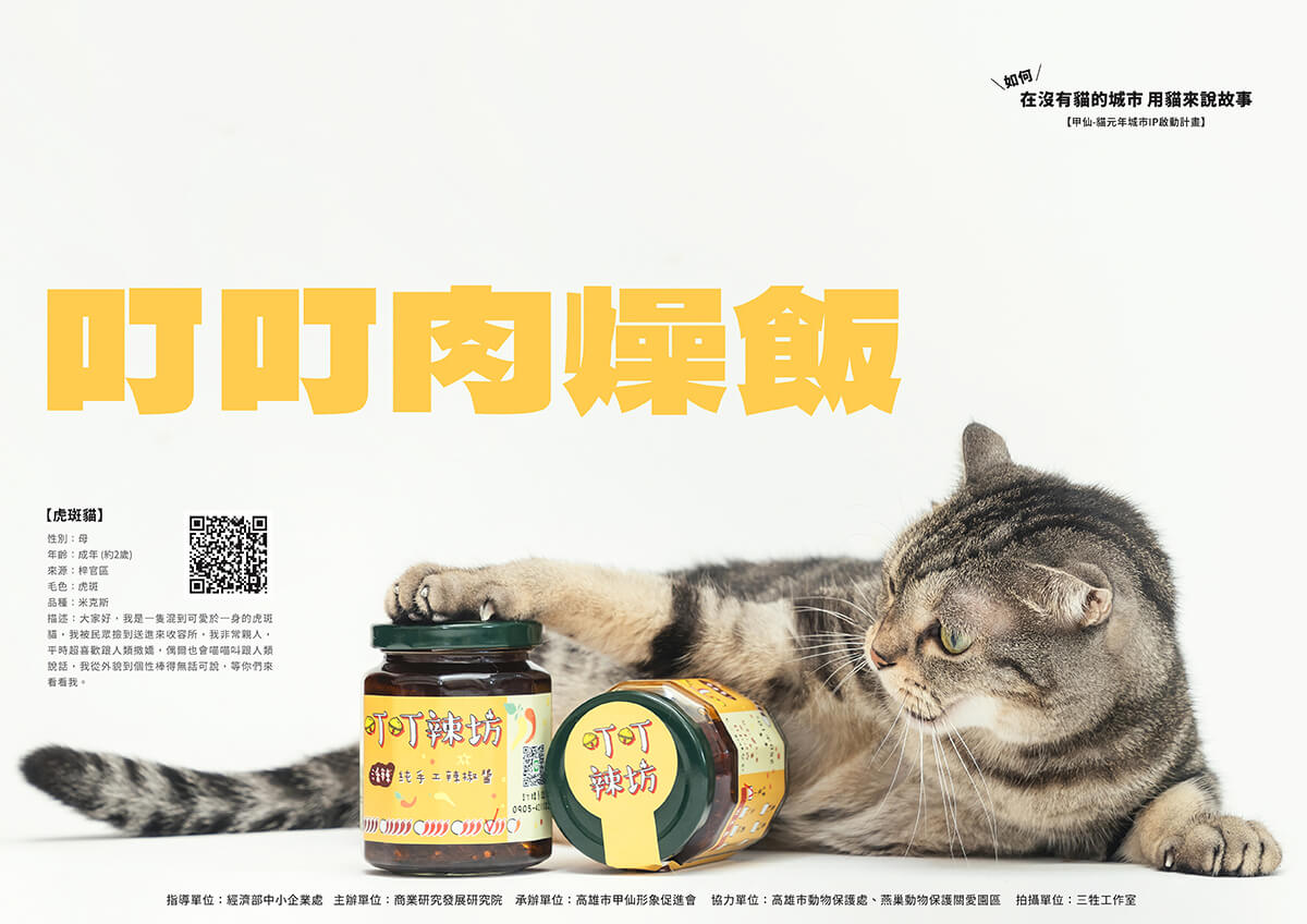 貓鮮食,貓零食,寵物鮮食,甲仙料理,商業攝影,形象照,三牲工作室,三牲商業攝影,somethimgstudio