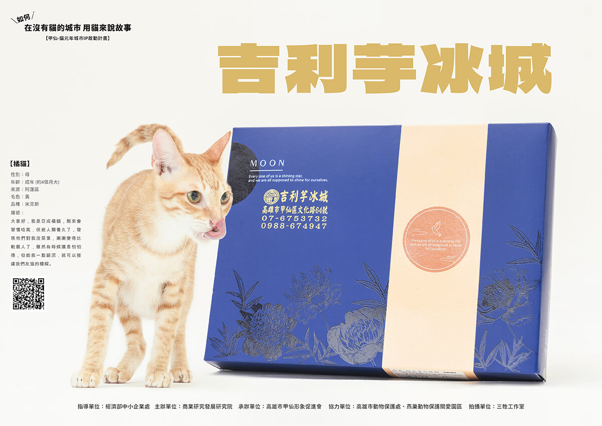 貓鮮食,貓零食,寵物鮮食,甲仙料理,商業攝影,形象照,三牲工作室,三牲商業攝影,somethimgstudio