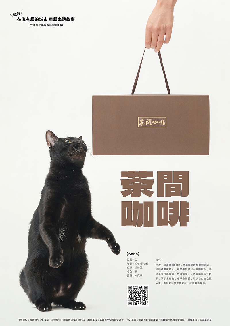 貓鮮食,貓零食,寵物鮮食,甲仙料理,商業攝影,形象照,三牲工作室,三牲商業攝影,somethimgstudio