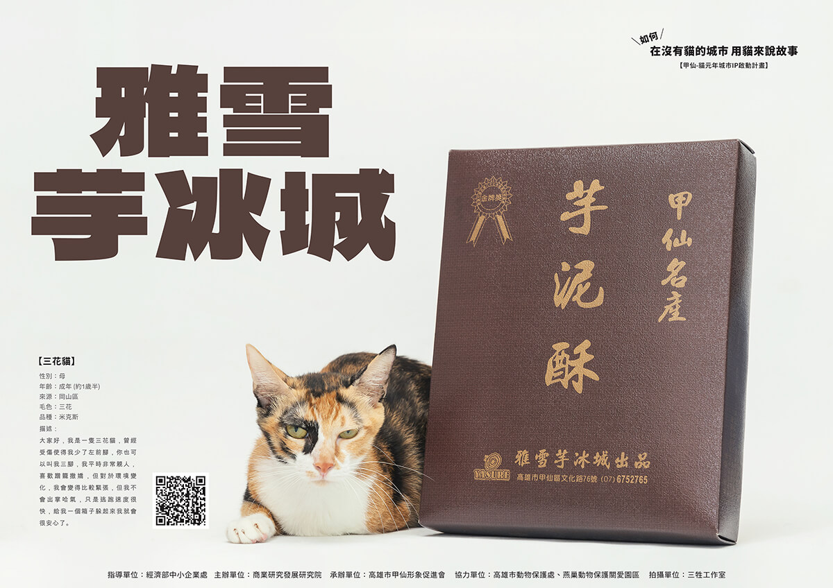 貓鮮食,貓零食,寵物鮮食,甲仙料理,商業攝影,形象照,三牲工作室,三牲商業攝影,somethimgstudio